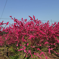 �����һ����ͻ������