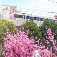 �����ڽ��������԰���߳���Ƭ