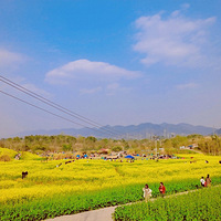 �򿨴�Ƭ�Ͳ˻�˳��ȥ����������