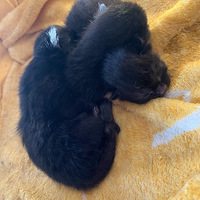 ����66�죬�����С�и���������