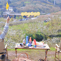 �����С���á��ɽ����ɽ��ӣ��ժ���ӡ�2022���μǡ�