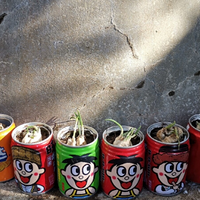 ˴޻ǲУԭ顢ɵɵֲӲ