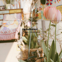 ����ɹɹС��̨