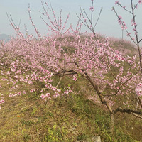 ����ĩ�һ��������뽭����ǧĶ�һ���������