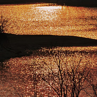 �������½�wanghong���Ȼ������������ʱ�̡�