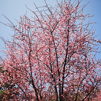 ��ů�����ļ��ڣ�