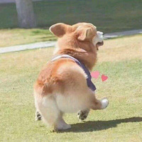 �깤����~��ҿ���������ҵ��¼���