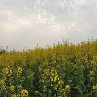 ����Ϫ��԰