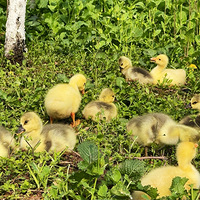 һ��������ѽ