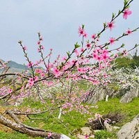 �������죬Ҳ����2022����״ο�ȫ��