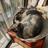 ��ĽСè�䣬ÿ����������������ɹɹ̫��