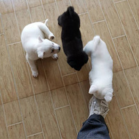 ������������