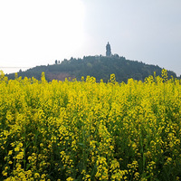 ��������Ͳ˻����������򿨰ɣ�