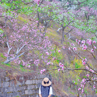 �����С���á����Ǵ������е�������Դ