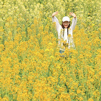 2022����Ͳ˻����ؿ���ɫ�Ͳ˻�