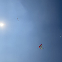 ���������� ����ȥ����