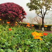 ɳ̲����ˮ���ʻ������������죬��ɿڴ��μǶ�����