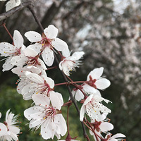 �����ζ��