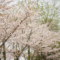 ���ŵ���Ѱ�Ҵ��죺5����һվ������������ع�԰����ӣ��������