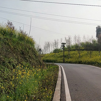 ����ͭ������õ���ҵ԰���ö��Ͳ˻����滨���һ�~