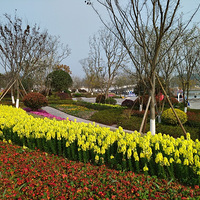 ����������º�