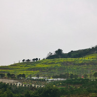 ͭ���䴺�μ�