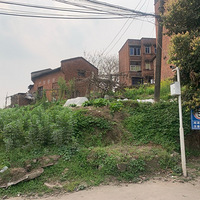 ���ڴ����ֵֽ��������ж��������Ҹ���ζ��