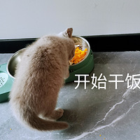 �ҼҸɷ������ճ�