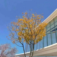 ����ķ��Ѿ����˴����ζ��