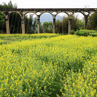 ���ƻ���