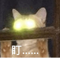 Ӫɴ󿧣ʵϺ9ȴƽƽ棬