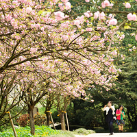 2022��ɽֲ��԰��ӣ�������ģ��һ���������ŭ���ˡ�