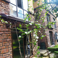 ����ûл��ʱ��࿴��������Ҳ��һ��