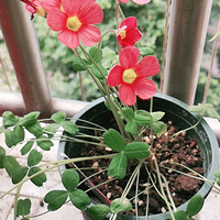 ���϶�����ĺü���