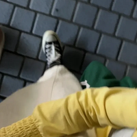 ҪİˣʹǸСӣϸ˼֣