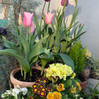 �������������������е�ÿ�