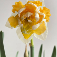 ���ֿ����� �Ǿ�������д��������