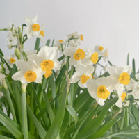 �ҵ�ˮ�ɿ����е��ͺ�ɣ���Ȼ���ڲſ������������Ҫ���ϡ�����