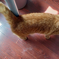 ����̫�ȣ�����ſ�ڵ���˯���ð���