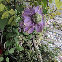 �ڴ�����