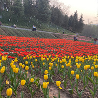 �����������㣬̫�������ӵ��������