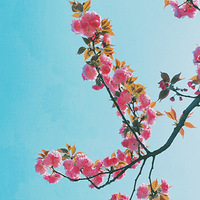 ɫˣڼſ׷һĴ