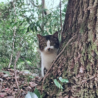 ����������������