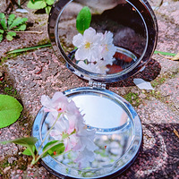 ����Լ������