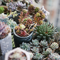 2022����̨����