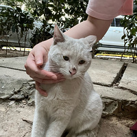 ��С������èè������