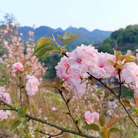 ����һ���Σ���ӣ��¶Ӫ��������ˣˮ��������