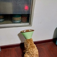 �����ճ���ˣ~