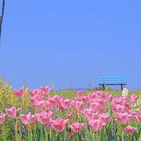 Ϊ��������Ҳ�Ҹ������ĵط�����Ƿ����˸���APP