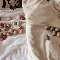 ��������������������